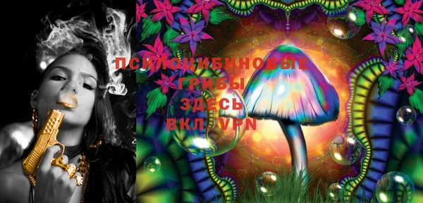 PSILOCYBIN Абаза