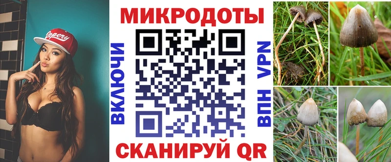 это как зайти  купить наркотики сайты  Тольятти  Галлюциногенные грибы Magic Shrooms  hydra вход 