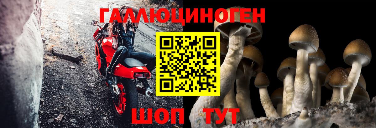 МАРИХУАНА  A PVP СК кристаллы  Тольятти  Кокаин  Гашиш  Меф МЯУ МЯУ кристаллы  Вход с VPN  Гашиш 