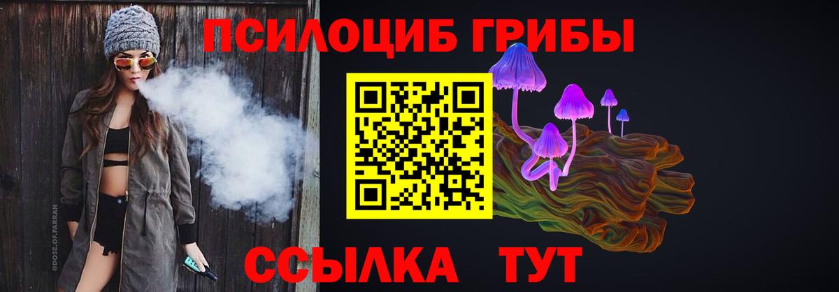 Псилоцибиновые грибы Cubensis  Псилоцибиновые грибы прущие грибы  Тольятти  Вход с VPN 
